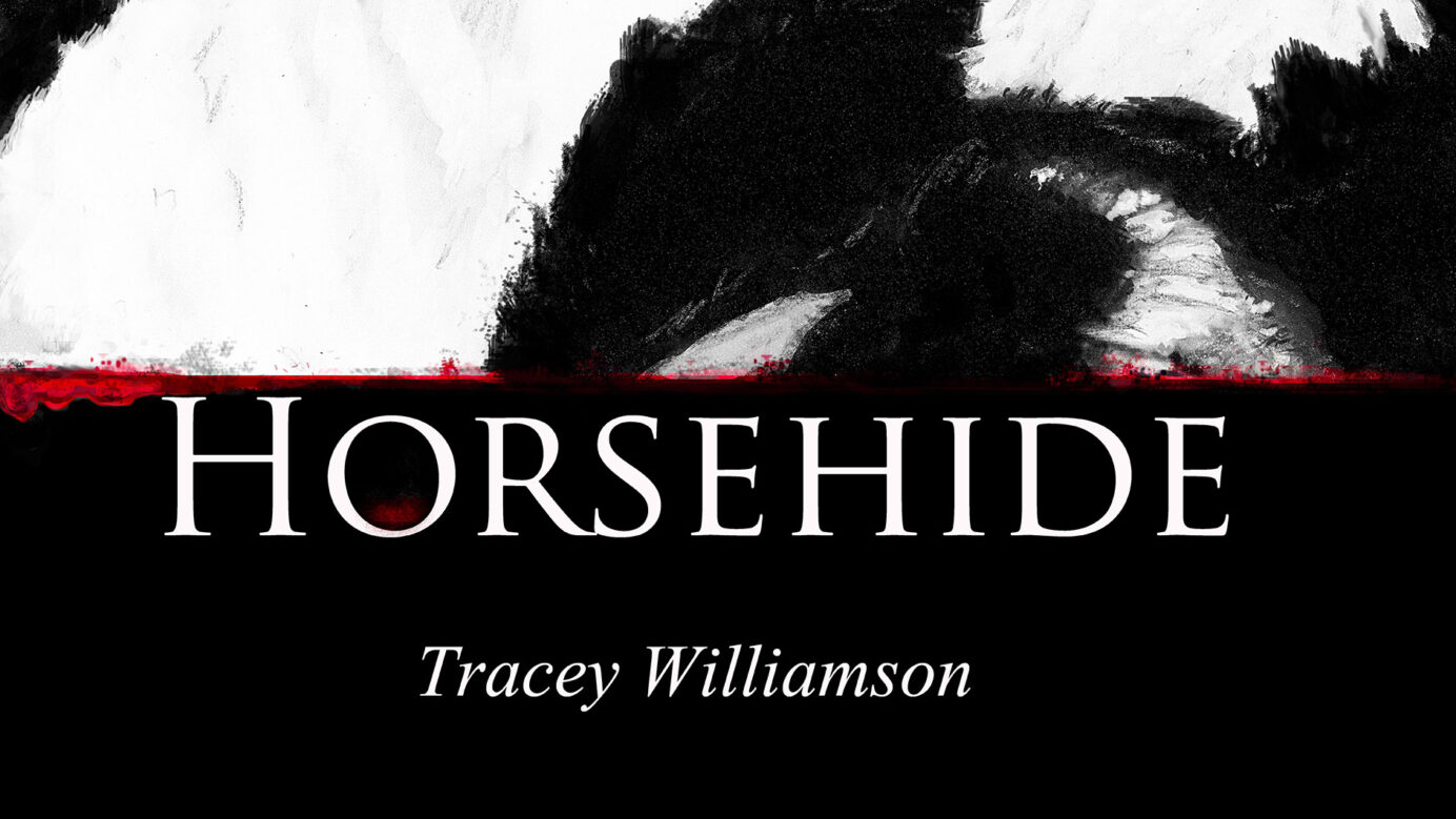Horsehide by tracey williamson featured
