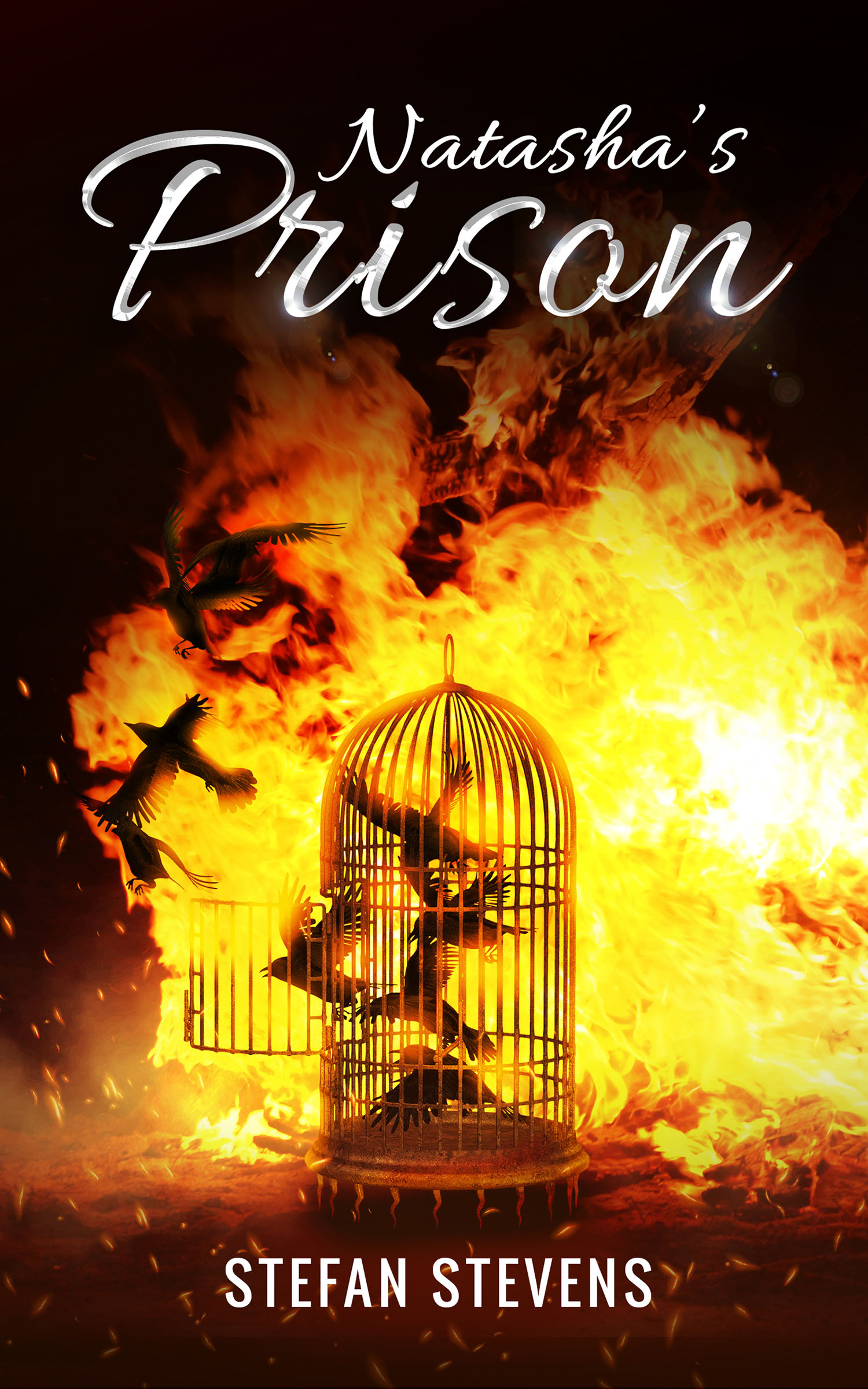 Natasha's Prison cover image