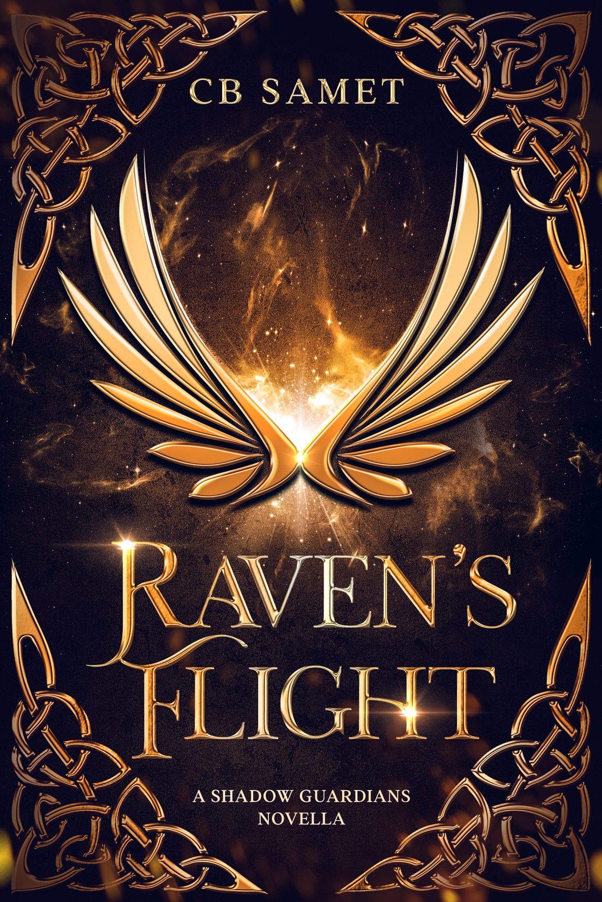 Raven's Flight cover